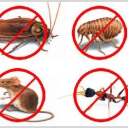 Pest Control Notification