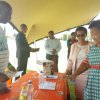 Skills Development programme